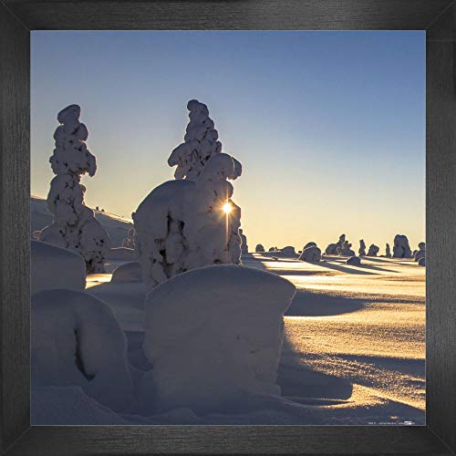 1art1 Winter Poster Kunstdruck Bild und MDF-Rahmen - Schneebedeckte Bäume An Einem Schönen Wintermorgen In Lappland (40 x 40cm) von 1art1