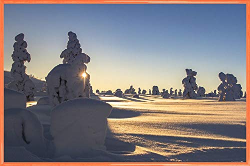 1art1 Winter Poster Plakat | Bild und Kunststoff-Rahmen - Schneebedeckte Bäume An Einem Schönen Wintermorgen In Lappland (91 x 61cm) von 1art1