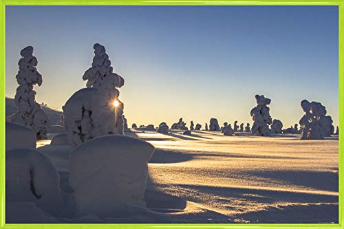 1art1 Winter Poster Plakat | Bild und Kunststoff-Rahmen - Schneebedeckte Bäume An Einem Schönen Wintermorgen In Lappland (91 x 61cm) von 1art1