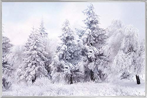 1art1 Winter Poster Plakat | Bild und Kunststoff-Rahmen - Schneebedeckter Winterwald (91 x 61cm) von 1art1