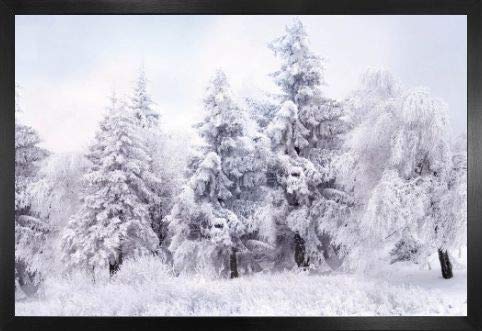 1art1 Winter Poster Plakat | Bild und MDF-Rahmen - Schneebedeckter Winterwald (91 x 61cm) von 1art1