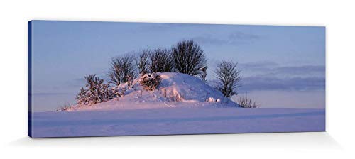 1art1 Winter Poster Scheelandschaft In Schimmerndem Winterlicht Bilder Leinwand-Bild Auf Keilrahmen | XXL-Wandbild Poster Kunstdruck Als Leinwandbild 150x50 cm von 1art1