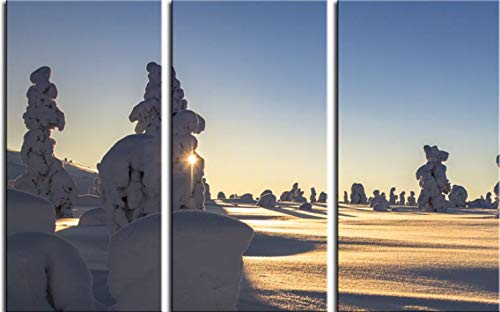 1art1 Winter Poster Schneebedeckte Bäume An Einem Schönen Wintermorgen In Lappland, 3-Teilig Bilder Leinwand-Bild Auf Keilrahmen | XXL-Wandbild Poster Kunstdruck Als Leinwandbild 180x120 cm von 1art1