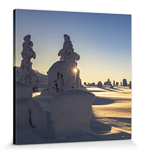 1art1 Winter Poster Schneebedeckte Bäume An Einem Schönen Wintermorgen In Lappland Bilder Leinwand-Bild Auf Keilrahmen | XXL-Wandbild Poster Kunstdruck Als Leinwandbild 70x70 cm von 1art1