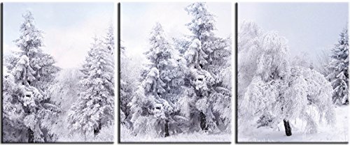 1art1 Winter Poster Schneebedeckter Winterwald, 3-Teilig Bilder Leinwand-Bild Auf Keilrahmen | XXL-Wandbild Poster Kunstdruck Als Leinwandbild 120x50 cm von 1art1