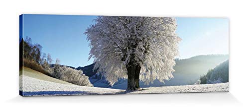 1art1 Winter Poster Starker Baum Im Raureif Bilder Leinwand-Bild Auf Keilrahmen | XXL-Wandbild Poster Kunstdruck Als Leinwandbild 90x30 cm von 1art1