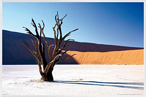 1art1 Wüsten Poster Plakat | Bild und Kunststoff-Rahmen - Verdorrter Baum In Der Wüste (91 x 61cm) von 1art1