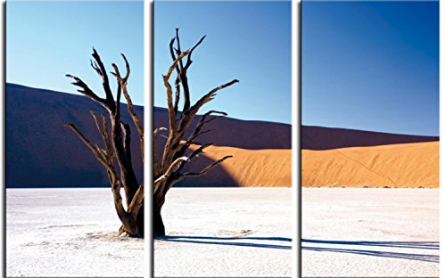 1art1 Wüsten Poster Verdorrter Baum In Der Wüste, 3-Teilig Bilder Leinwand-Bild Auf Keilrahmen | XXL-Wandbild Poster Kunstdruck Als Leinwandbild 180x120 cm von 1art1