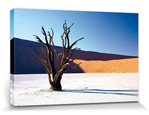 1art1 Wüsten Poster Verdorrter Baum In Der Wüste Bilder Leinwand-Bild Auf Keilrahmen | XXL-Wandbild Poster Kunstdruck Als Leinwandbild 120x80 cm von 1art1