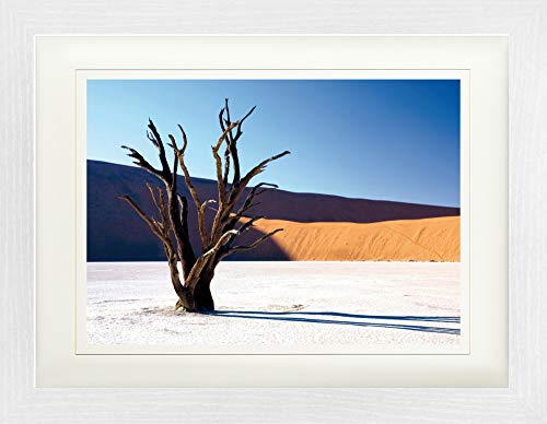 1art1 Wüsten Poster Verdorrter Baum In Der Wüste Gerahmtes Bild Mit Edlem Passepartout | Wand-Bilder | Im Bilderrahmen 40x30 cm von 1art1