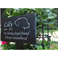 Haustier-Gedenktafel Schieferschild | Mit Labrador-Kopf Wie Im Hauptfoto Zu Sehen Personalisiert Für Ihre Liebsten - Grabsteine 25 cm X 18 von 1st4Signs