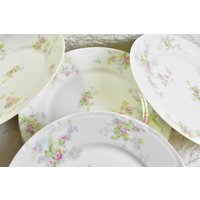 Theodor Haviland Limoges Teller. 5 Porzellan Teller Mit Blumenmuster. Geschirr Made in France. #k5 Rpm von 1stvictorianboutique