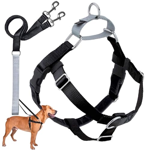 2 Hounds Design 818557022419 No-Pull Dog Harness Training Package with LeashX-Small (5/8 Zoll Wide) XSBlack von 2 Hounds Design