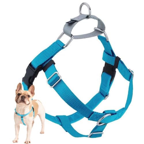 2 Hounds Design Freiheit verhindert Zerren Keine Leine Geschirr nur, 1, 2 x große 2 Hounds Design Freiheit verhindert Zerren Keine Leine Geschirr nur, 1, 2 x große von 2 Hounds Design