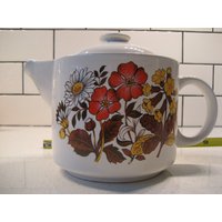 Vintage Sadler Windsor Feines Porzellan Teekanne Mod Groovy 70Er Jahre Gänseblümchen Fiesty Orange Blumen Retro Pflanzen Naturforscher Schick von 222nest