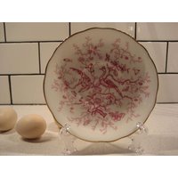 Wahl Vintage Orphan Saucer Coalport Kairo Pink Shelley Oleander Soft Green Paragon Rose Gold England Ersatz Tee Untertasse Geschenkidee von 222nest