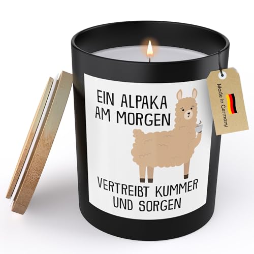 22Feels Lustige Spruchkerze Frauen Alpaka Sojawachs Kerze im Glas Handgemacht mit Spruch Humor Frech Candle Duft Deko Vegan Nachhaltig Nachhaltig - ZITRUS 22Feels Lustige Spruchkerze Frauen Alpaka Sojawachs Kerze im Glas Handgemacht mit Spruch Humor Frech Candle Duft Deko Vegan Nachhaltig Nachhaltig - ZITRUS von 22Feels