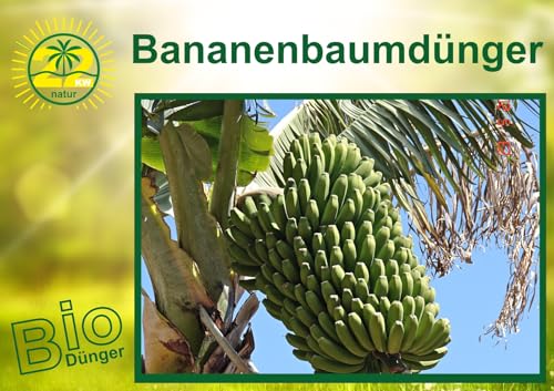 BIO Bananenbaum Dünger, Universaldünger, Palmen Dünger, 3KG 22KW-Natur von 22KW