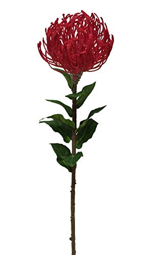 2474U Kunst-Stielblume Nadelkissenblüte Rot ca. 72cm naturgetreue Blüte Seidenblume von 2474U