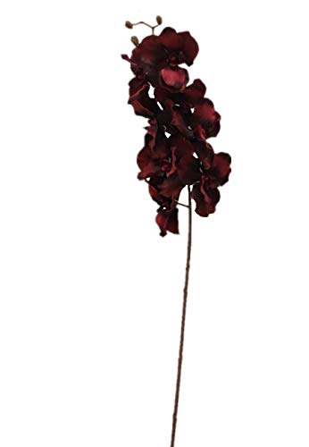 2474U Kunst-Stielblume Orchidee bordaux-rot ca. 100cm naturgetreue Blüte Seidenblume von 2474U