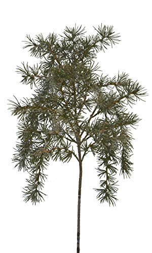 2474U Kunstzweig Zeder Tanne-/Nadelbaum grün ca. 78cm naturgetreu, Trockenzweig imitiert von 2474U