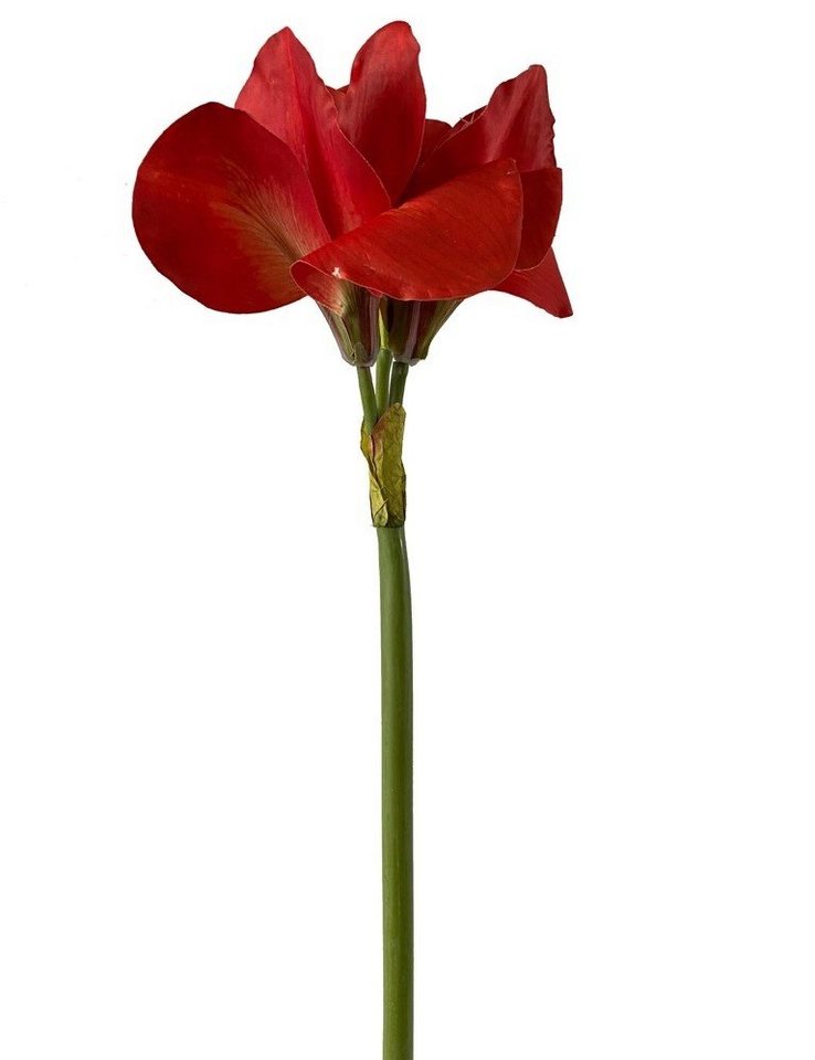 Kunstblume *Edle Stielblume, täuschend echt wirkende Seidenblüte und Blätter Amaryllis Ritterstern (Hippeastrum), 2474U, Höhe 70 cm, künstlich, naturgetreu, täuschend echt von 2474U