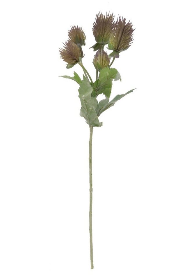 Kunstblume *Edle Stielblume, täuschend echt wirkende Seidenblüte und Blätter Edeldistel (Eryngium), 2474U, Höhe 46 cm, künstlich, naturgetreu, täuschend echt von 2474U