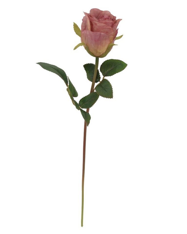 Kunstblume *Edle Stielblume, täuschend echt wirkende Seidenblüte und Blätter Rose (Rosa), 2474U, Höhe 50 cm, künstlich, naturgetreu, täuschend echt von 2474U