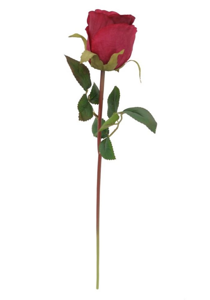 Kunstblume *Edle Stielblume, täuschend echt wirkende Seidenblüte und Blätter Rose (Rosa), 2474U, Höhe 50 cm, künstlich, naturgetreu, täuschend echt von 2474U