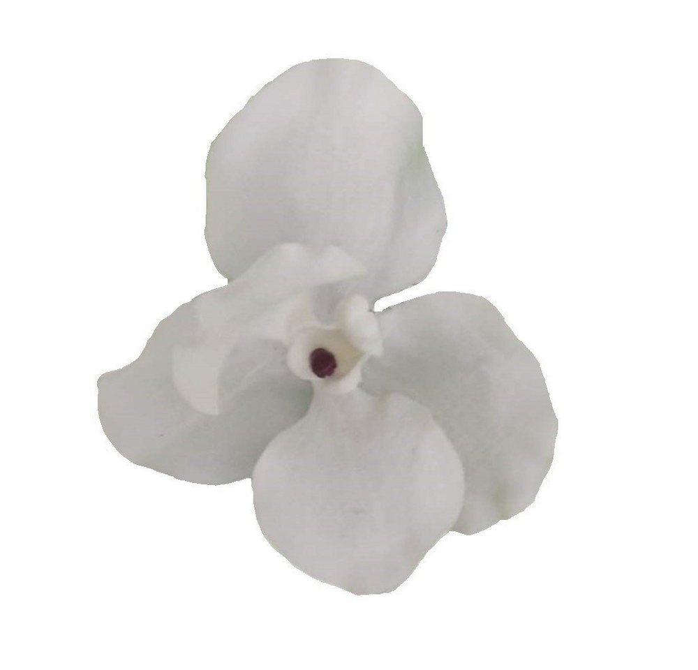 Kunstblume *Seiden-Blüte Orchidee auf Metall-Clip zur individuellen Dekoration* Orchidee (Orchidaceae), 2474U, künstlich, naturgetreu, täuschend echt von 2474U