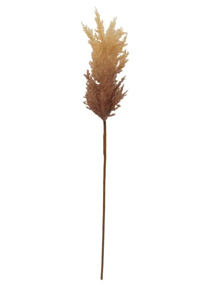 Kunstblume *naturgetreue Kunstpflanze / Strauch / Zweig* Schilfrohr (Phragmites), 2474U, Höhe 90 cm, künstlich, naturgetreu, täuschend echt von 2474U