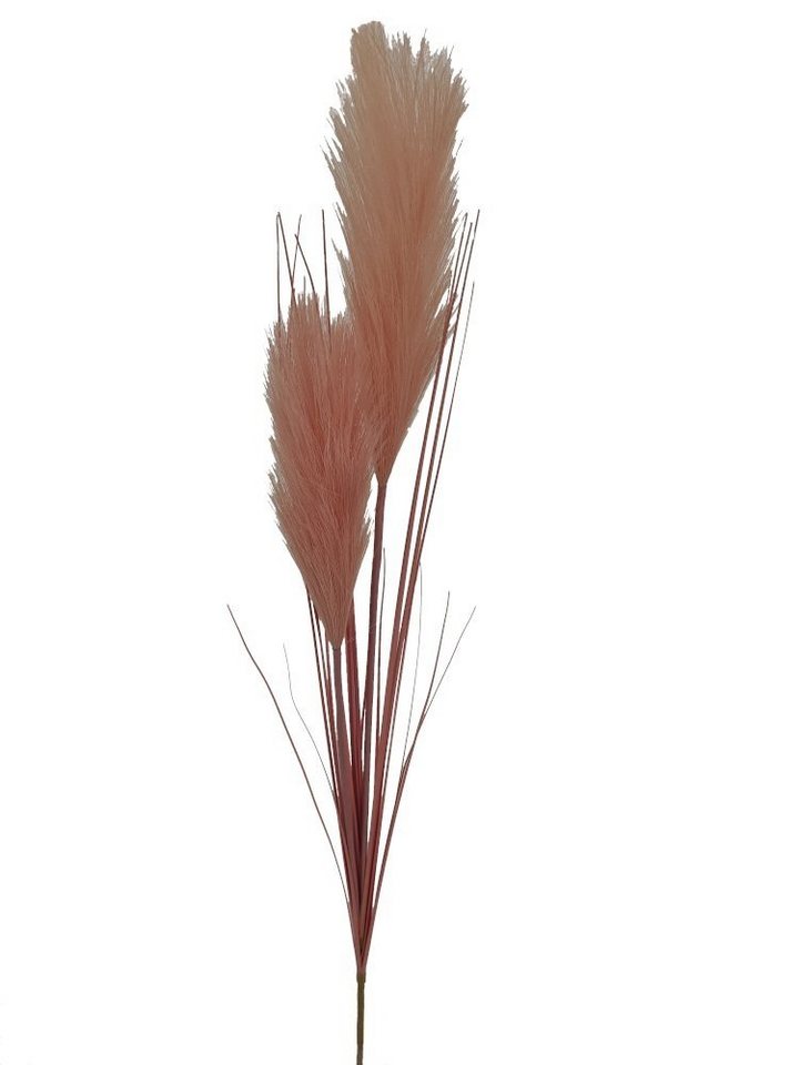 Kunstblume Pampasgras (Cortaderia), 2474U, Höhe 105 cm, künstlich, naturgetreu, täuschend echt von 2474U