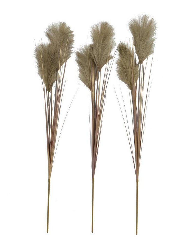 Kunstblume Pampasgras (Cortaderia), 2474U, Höhe 95 cm, künstlich, naturgetreu, täuschend echt von 2474U