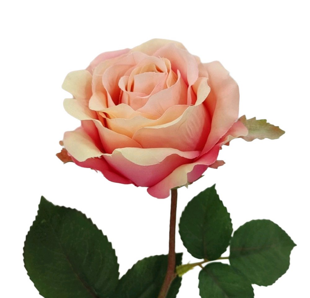 Kunstblume Stielblume, 2474U, Höhe 65 cm von 2474U