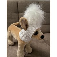 Wintermütze Mit Fellbommel Strickmütze Für Kleine Hunde Schönes Geschenk von 2CROWNS