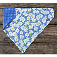 Bandana Für Hunde - Über Dem Halsband Blaue Gänseblümchen Sommer Frühlingsblume von 2PawfectFriends