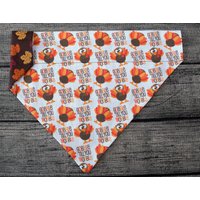 Thanksgiving Hundehalstuch - Halsband Mini Kleines Leckerli Bis Zum Wackeln von 2PawfectFriends