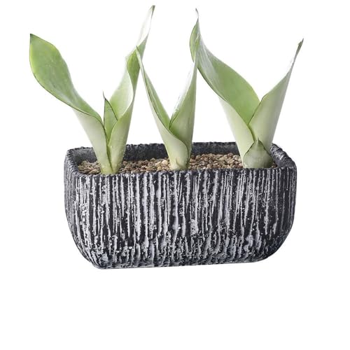 2WFYJNITP Dekorativ Schwarzer Blumentopf mit Aderlinien, Drainagelöchern, rechteckiger Zementpflanzer for Balkon, Wohnzimmer, Küche, Pflanzenbehälter für Zimmerpflanzen(Mittel) von 2WFYJNITP