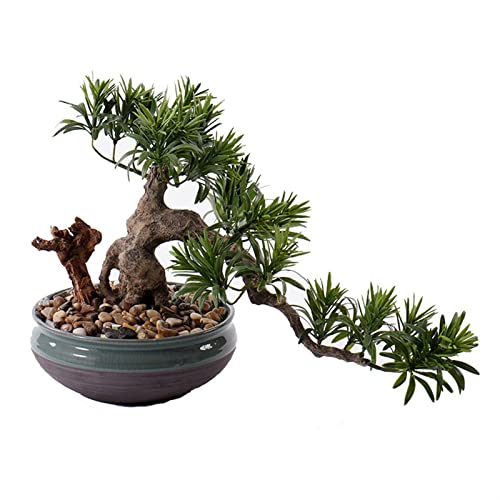 2WFYJNITP Kunstpflanze Chinesische künstliche Bonsai Willkommen Kiefer Bonsai Büro Holz Grün Ornament gefälschte Pflanze mit runden Keramik Blumentopf für Fensterbank 2WFYJNITP Kunstpflanze Chinesische künstliche Bonsai Willkommen Kiefer Bonsai Büro Holz Grün Ornament gefälschte Pflanze mit runden Keramik Blumentopf für Fensterbank von 2WFYJNITP
