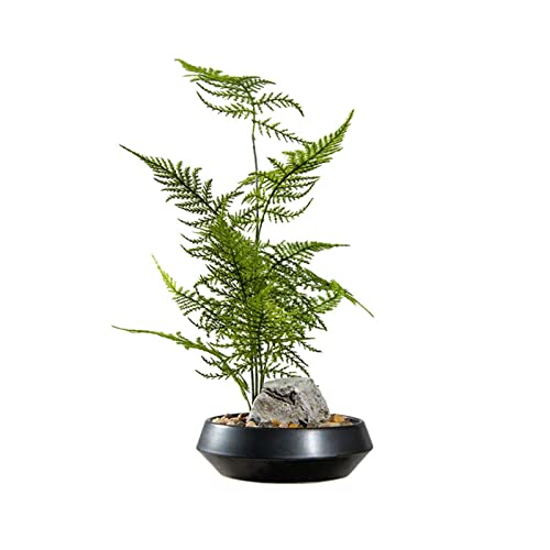 2WFYJNITP Kunstpflanze Neue chinesische künstliche Bonsai-Simulation, grüne Pflanze, Bonsai-Ornamente, Wohnzimmer-Eingangsschrank, Bambus-Blumentopf, Pflanze mit Keramiktopf für Fensterbank 2WFYJNITP Kunstpflanze Neue chinesische künstliche Bonsai-Simulation, grüne Pflanze, Bonsai-Ornamente, Wohnzimmer-Eingangsschrank, Bambus-Blumentopf, Pflanze mit Keramiktopf für Fensterbank von 2WFYJNITP