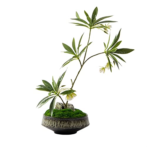 2WFYJNITP Kunstpflanze Neue chinesische künstliche Bonsai-Zen-Simulation von Grünpflanzen, Florale Topfornamente, Wohnzimmer-Desktop-Eingangsbereich, künstliche Pflanzen-Dekoration für Fensterbank 2WFYJNITP Kunstpflanze Neue chinesische künstliche Bonsai-Zen-Simulation von Grünpflanzen, Florale Topfornamente, Wohnzimmer-Desktop-Eingangsbereich, künstliche Pflanzen-Dekoration für Fensterbank von 2WFYJNITP