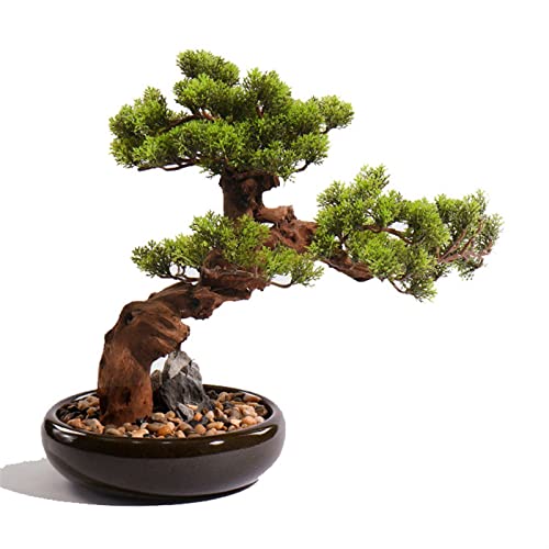 Kunstpflanze 17-Zoll-künstliche Bonsai-Kiefer, künstliche Topfpflanze, Schreibtisch-Display, künstlicher Baum mit Keramik-Blumentopf-Ornamenten, Bonsai-Pflanze für Fensterbank Kunstpflanze 17-Zoll-künstliche Bonsai-Kiefer, künstliche Topfpflanze, Schreibtisch-Display, künstlicher Baum mit Keramik-Blumentopf-Ornamenten, Bonsai-Pflanze für Fensterbank von 2WFYJNITP