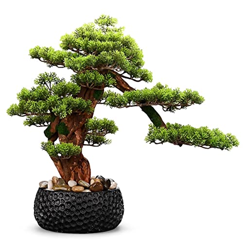 Kunstpflanze Chinesischer Eingang Willkommen Kiefer Bonsai Indoor Greenery Große Topfpflanze Simulation Pflanzenornament mit schwarzem Keramik-Blumentopf für Fensterbank Kunstpflanze Chinesischer Eingang Willkommen Kiefer Bonsai Indoor Greenery Große Topfpflanze Simulation Pflanzenornament mit schwarzem Keramik-Blumentopf für Fensterbank von 2WFYJNITP