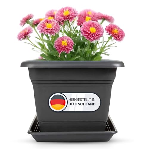 2friends 1er Set Pflanzkübel Groß Außen Der Pflanzenwohlfühl-Champion: 40x40cm XXL-Topf | Wetterfester Garten-Held Made in Germany 2friends 1er Set Pflanzkübel Groß Außen Der Pflanzenwohlfühl-Champion: 40x40cm XXL-Topf | Wetterfester Garten-Held Made in Germany von 2friends