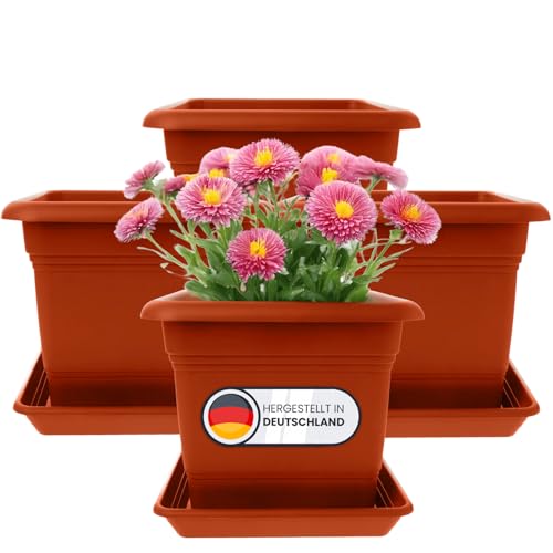 2friends 4er Set Mediterranes Pflanzenwunder: 16L Premium-Blumentopf (28×28 cm) in sonnenverwöhntem Terrakotta – Deutsche Meisterqualität mit Untersetzer! von 2friends