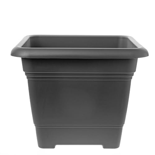 2friends Pflanzkübel groß außen 48x48cm - Frostbeständiger Blumentopf groß draussen aus Kunststoff - Made in Germany - Blumenkübel groß außen mit UV-Schutz & Wasserspeicher - Anthrazit 2friends Pflanzkübel groß außen 48x48cm - Frostbeständiger Blumentopf groß draussen aus Kunststoff - Made in Germany - Blumenkübel groß außen mit UV-Schutz & Wasserspeicher - Anthrazit von 2friends