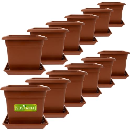 2friends Sustania Pflanzkübel Eckig 28x28 Terracotta 12er Set - Robuster Blumentopf Groß, Übertopf Ideal für Tomatenpflanzen, Eckige Pflanztöpfe Kunststoff für Garten & Balkon von 2friends