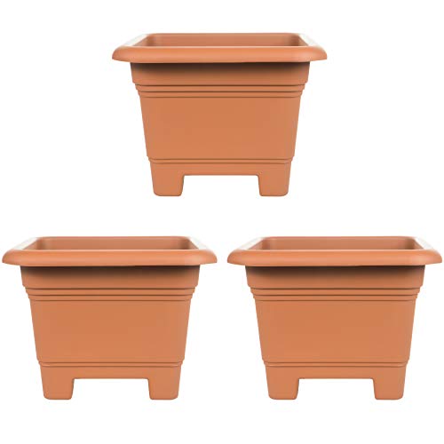 3er Set Pflanzkübel aus Kunststoff, eckig 38 x 38 x Höhe 28 cm, extra stabil, Blumenkübel Blumentopf Pflanztopf, Farbe: Terrakotta 3er Set Pflanzkübel aus Kunststoff, eckig 38 x 38 x Höhe 28 cm, extra stabil, Blumenkübel Blumentopf Pflanztopf, Farbe: Terrakotta von 2friends