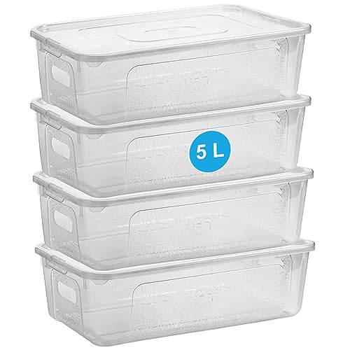 Aufbewahrungsbox mit Deckel 4er Set – 5 Liter Plastikbox mit Deckel, Robuste Kunststoff-Box für Boxen Aufbewahrung, Kisten Aufbewahrung mit Deckel – Platzsparende + Stabile Lösung, Made in EU von 2friends