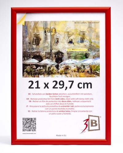 3-B Bilderrahmen MAUI - Rot - 21x29,7 cm (A4) - Holzrahmen, Fotorahmen, Dokumentenrahmen mit Acrylglas von 3-B